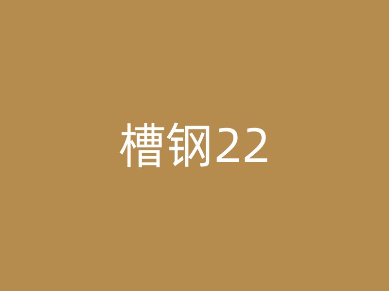 槽鋼22