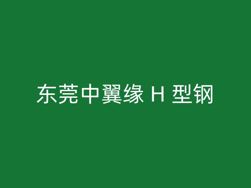 東莞中翼緣 H 型鋼
